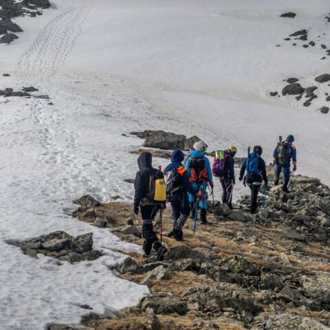 Adventurous group hiking on a snowy mountain ridge during winter, showcasing teamwork.